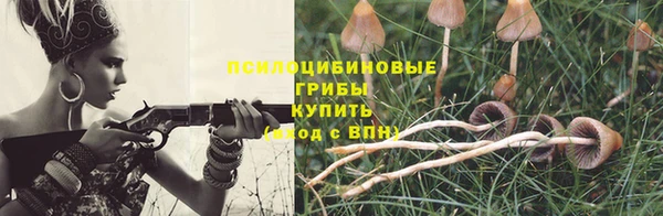 дурь Армянск