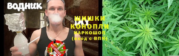 мяу мяу кристалл Арсеньев