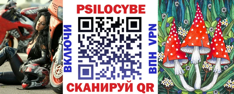 Галлюциногенные грибы Psilocybe  Лянтор 
