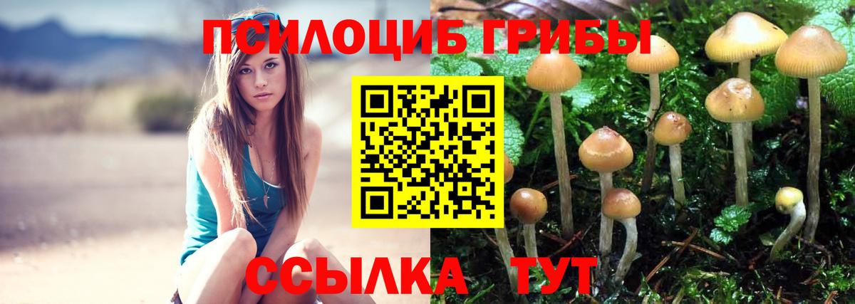 Галлюциногенные грибы Cubensis Лянтор