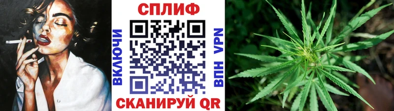 Канабис сатива  Лянтор 